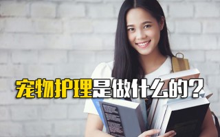 <strong>深圳富士康招聘电话</strong>宠物护理是做什么的