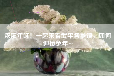 浓浓年味！一起来看武平各乡镇，如何迎接兔年~-第1张图片-成都富士康官方直招